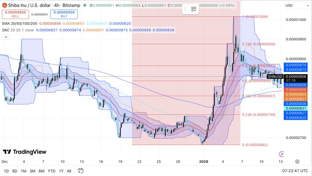 柴犬价格预测：月初上涨后，柴犬价格进入降温阶段。2026.1.13