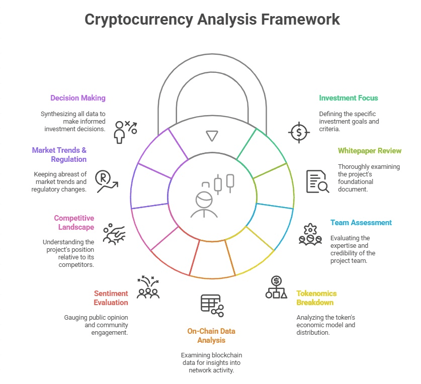 加密货币投资黄金法则DYOR的保姆级指南