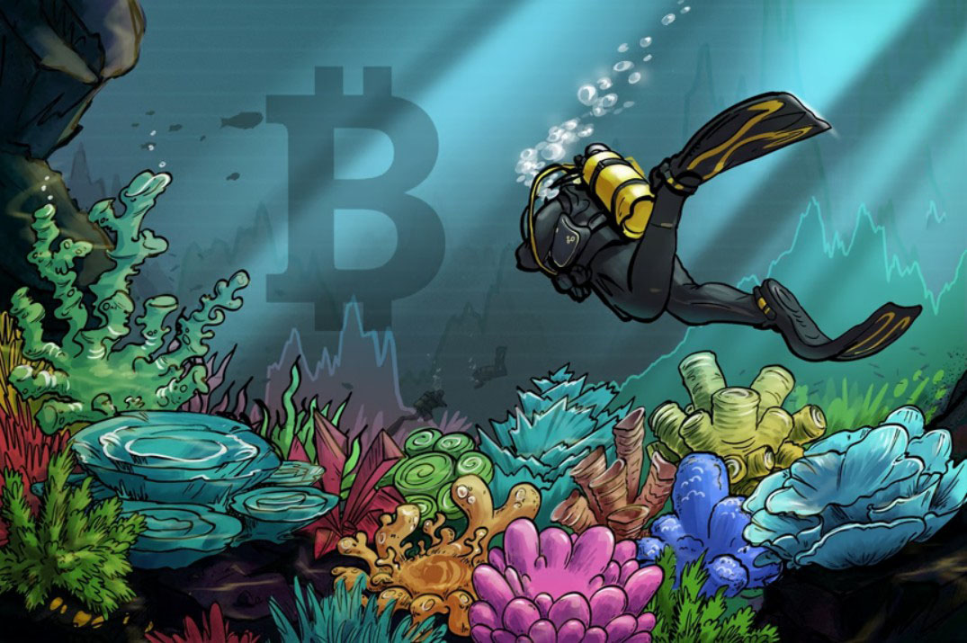 比特币（BTC）价格“筑底阶段”结束：本周比特币五大要闻