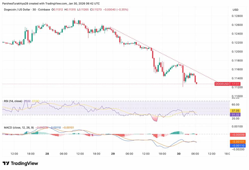 狗狗币价格预测：ETF资金流入枯竭，DOGE跌破0.12美元 2026.1.30_图4