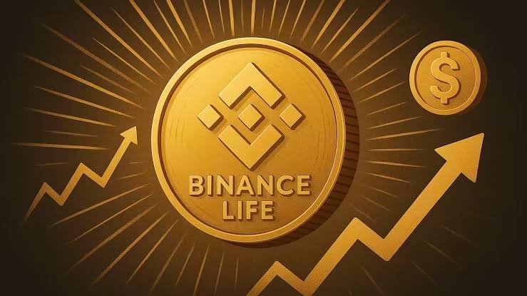 2026年1月五大中文Meme币