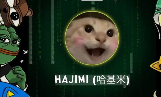 2026年1月五大中文Meme币