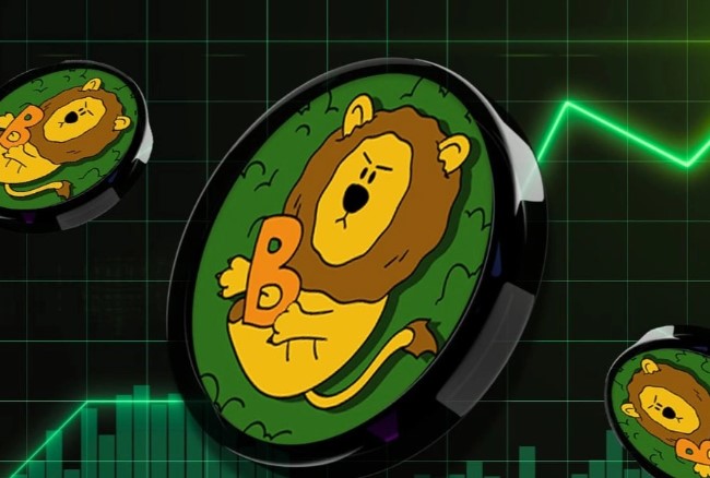 BuildOn (B) 价格飙升的原因是什么？