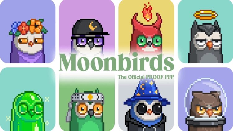 Moonbirds(BIRB)币全面介绍