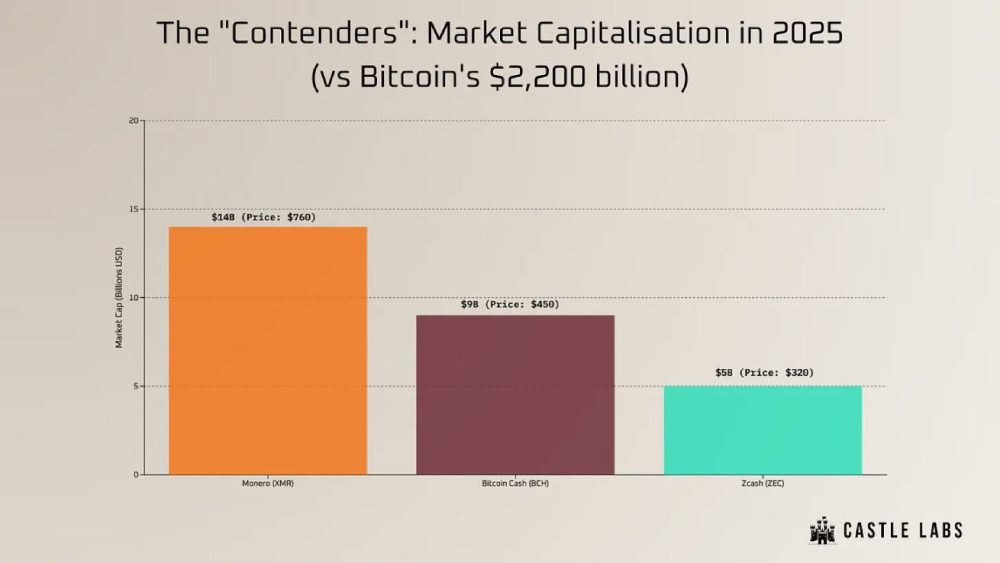 2025 年门罗币 比特币现金 Zcash 的市值规模