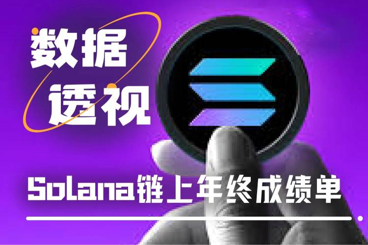 Solana年终成绩单
