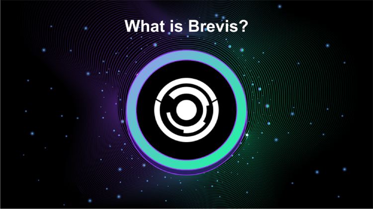 Brevis Network介绍