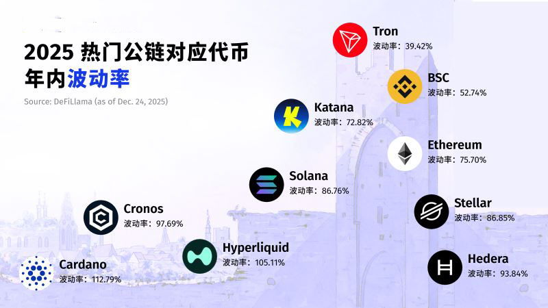 2025 公链大洗牌