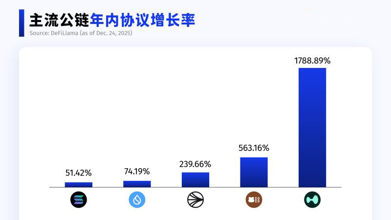 2025 公链大洗牌