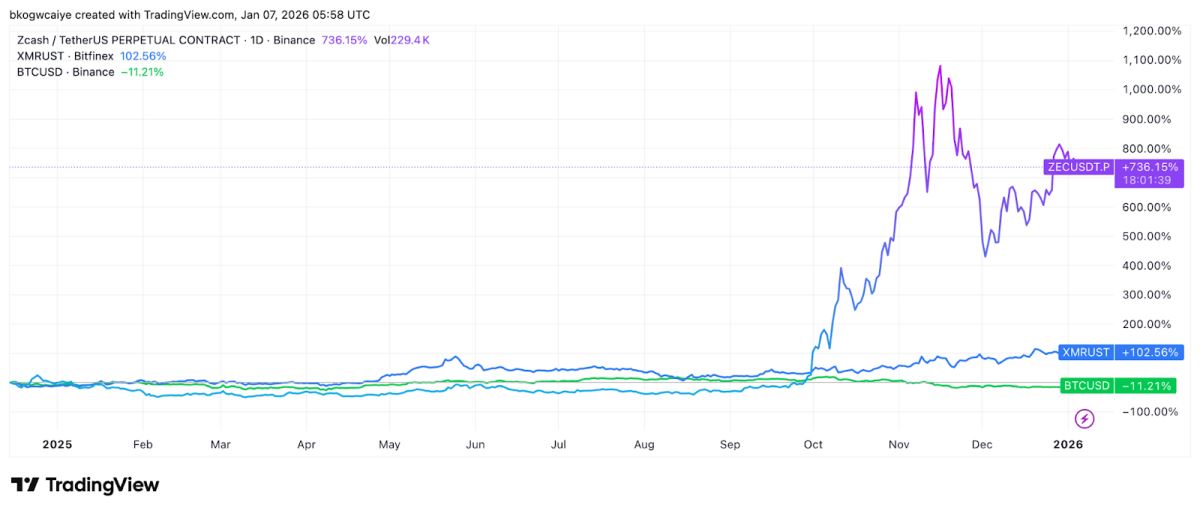 高潜力隐私项目分析