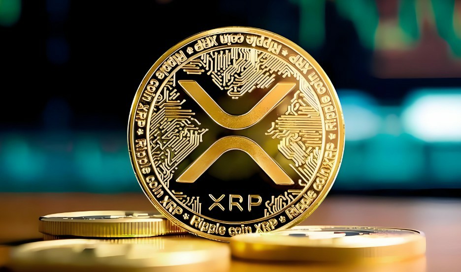 瑞波币（XRP）价格预测：熊市或许只是表象 百万级巨鲸钱包正加速入场
