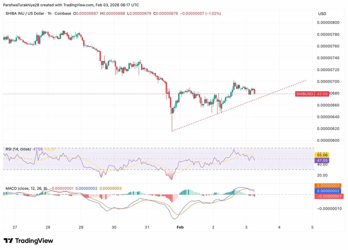 柴犬价格预测：随着未平仓合约量攀升，柴犬价格从低点反弹10%。2026.2.3_图4