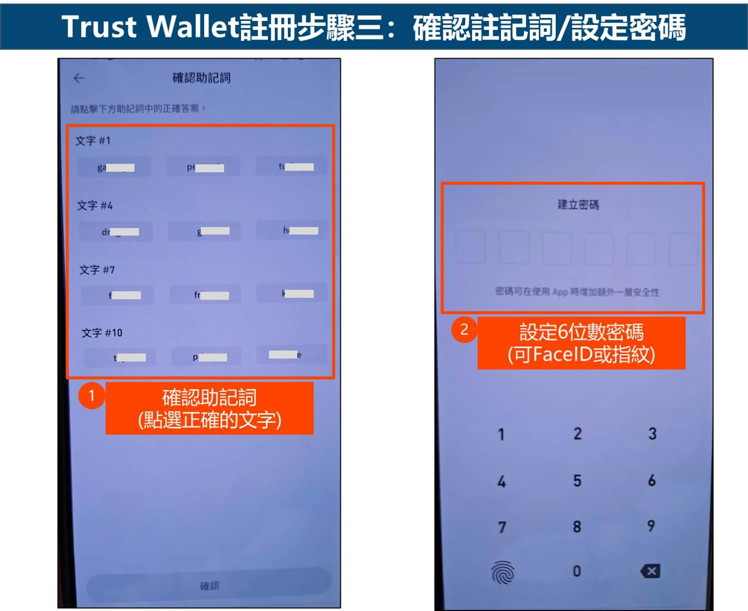 Trust Wallet注册步骤三：确认助记词/设定密码