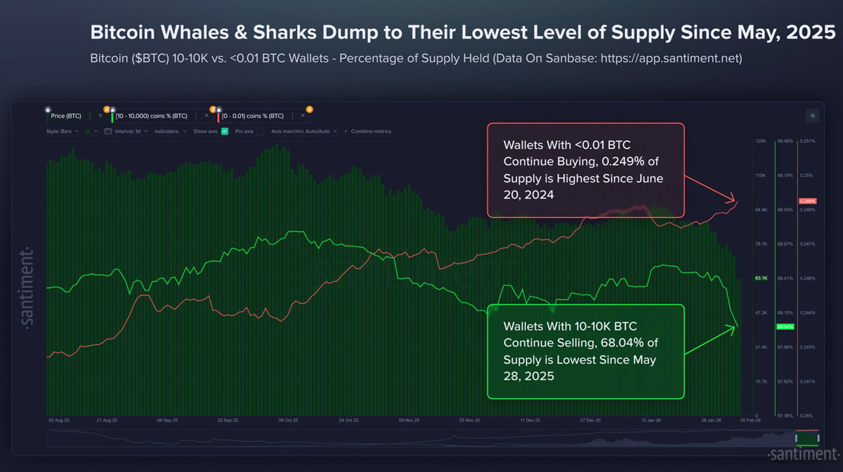 BTC持有者供应量跌至9个月低点