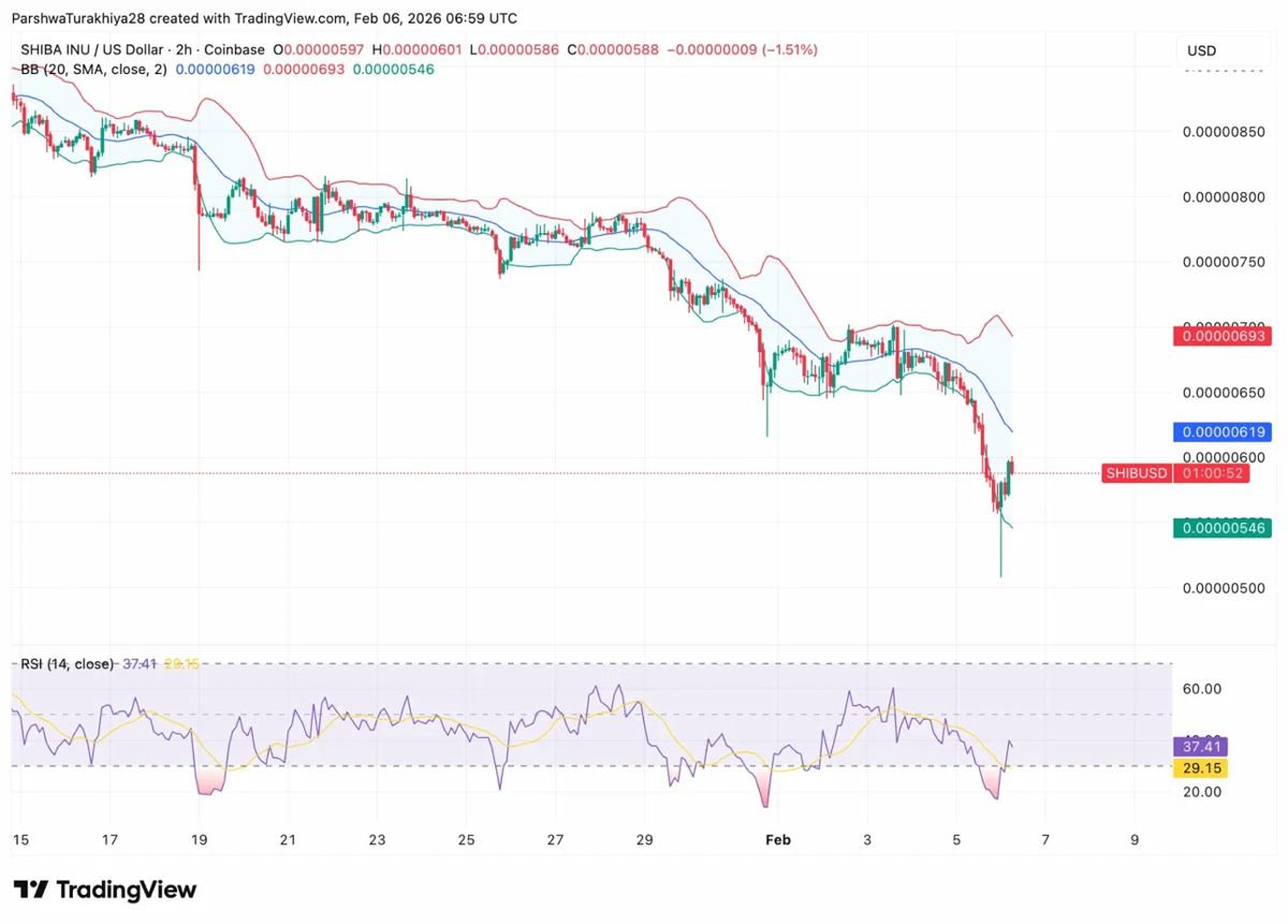 柴犬价格预测：SHIB 从暴跌低点反弹 15%，而比特币跌破 6.5 万美元。2026.2.6_图3