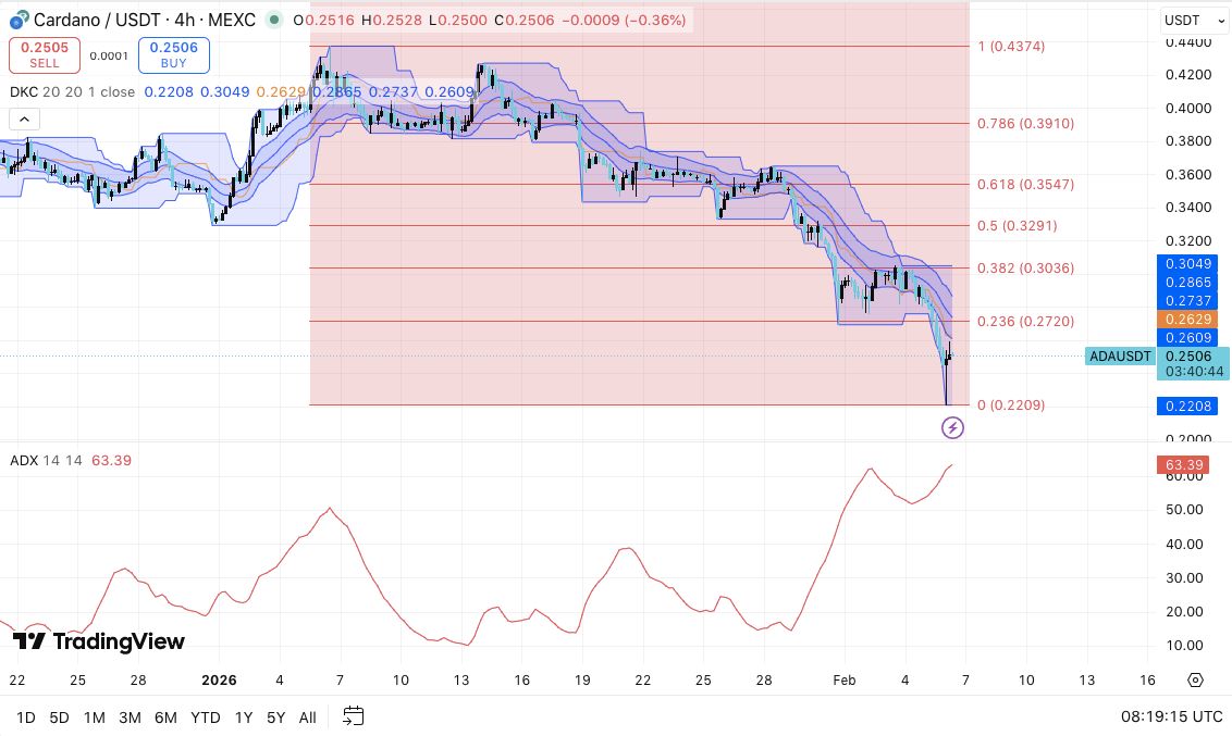 Cardano价格预测：ADA价格疲软加剧，Hoskinson敦促投资者关注下跌行情之后的情况 2026.2.6
