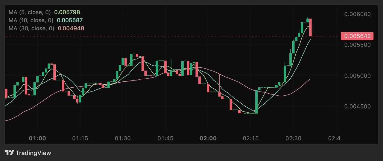 什么是Big Trout (BIGTROUT)币？如何购买？值得投资吗？