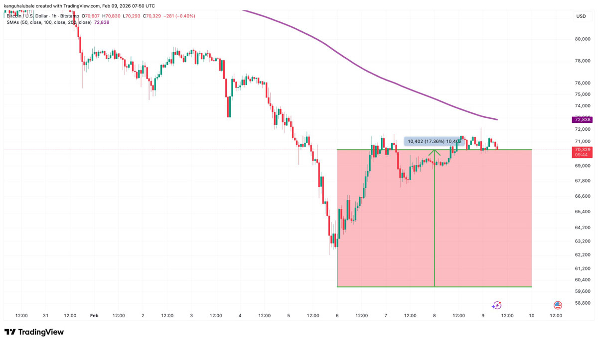 巨鲸趁跌买入4万枚比特币