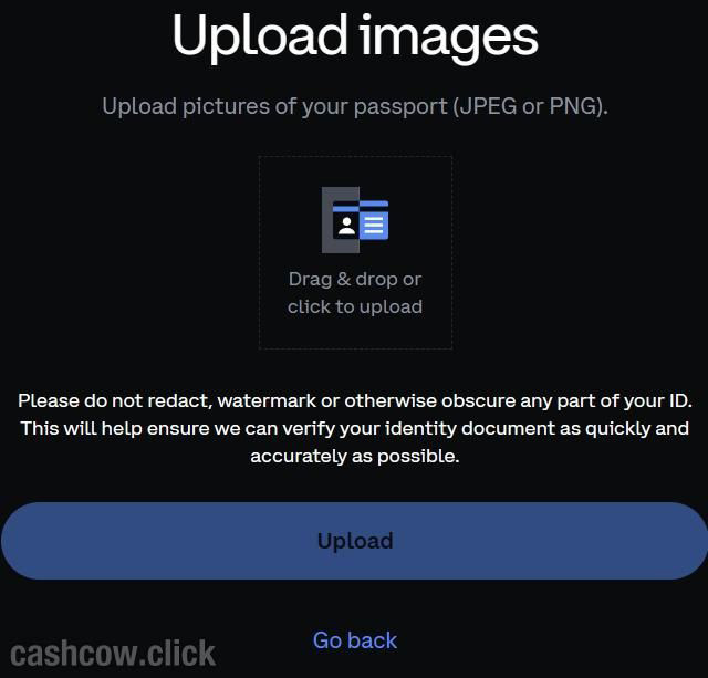 3. 验证身份信息_图3
