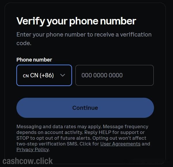 2. 填写电话登基本信息