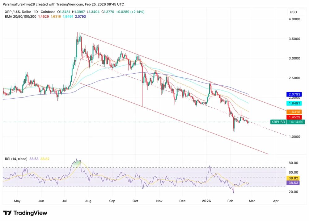 XRP价格预测：网络活动激增40%，1.35美元支撑位受试探 2026.2.25