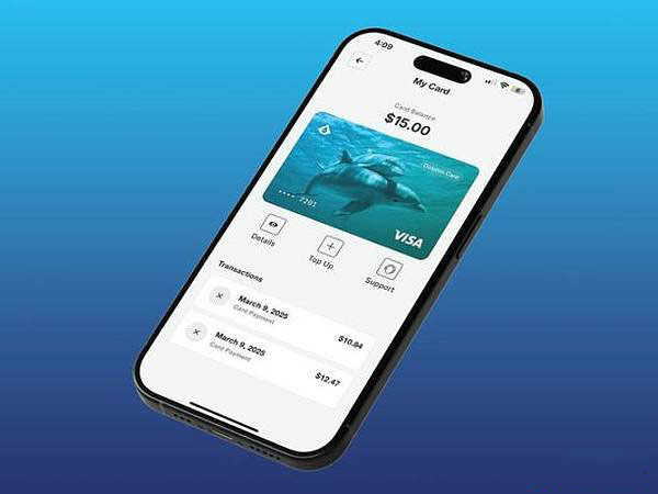案例研究：Aqua Wallet 的 Dolphin 卡