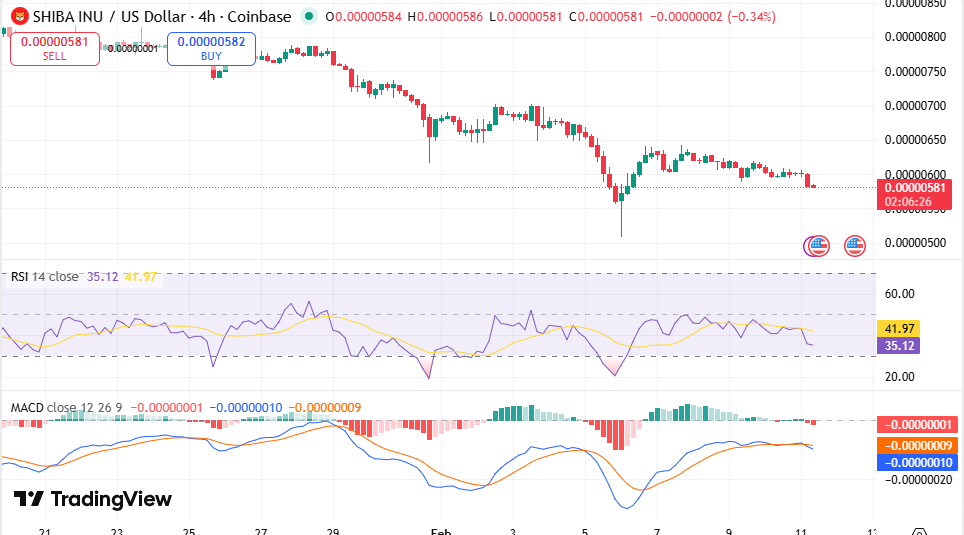 柴犬4小时价格图表：SHIB日内跌破模式形成