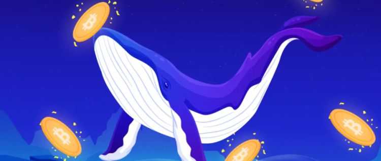 比特币抄底分析