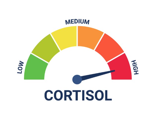CORTISOL Coin 2026年价格预测与分析