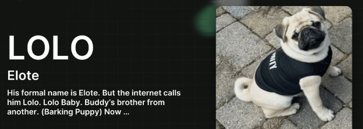 Elote LOLO 代币价格预测2026年