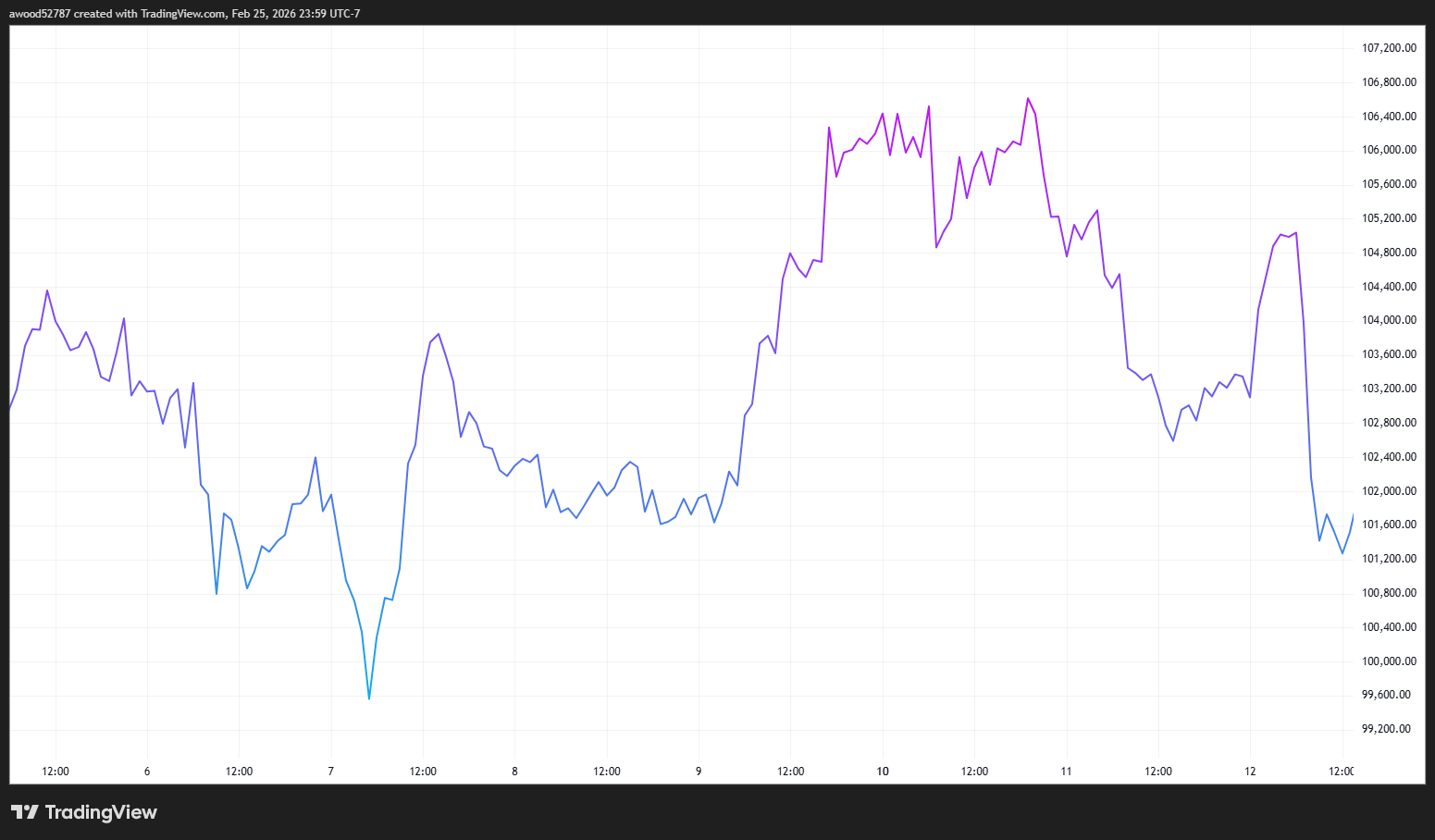 2025年11月5日：迈阿密“比特币超级大国”演讲