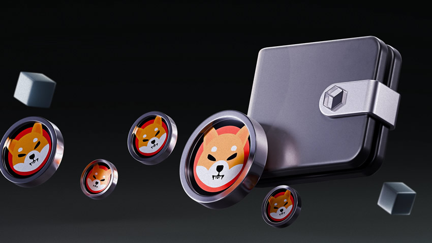 2026年最佳柴犬钱包（存储SHIB币）推荐（共6款）