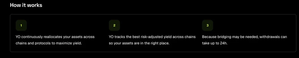 YO Protocol(YO)币详细介绍