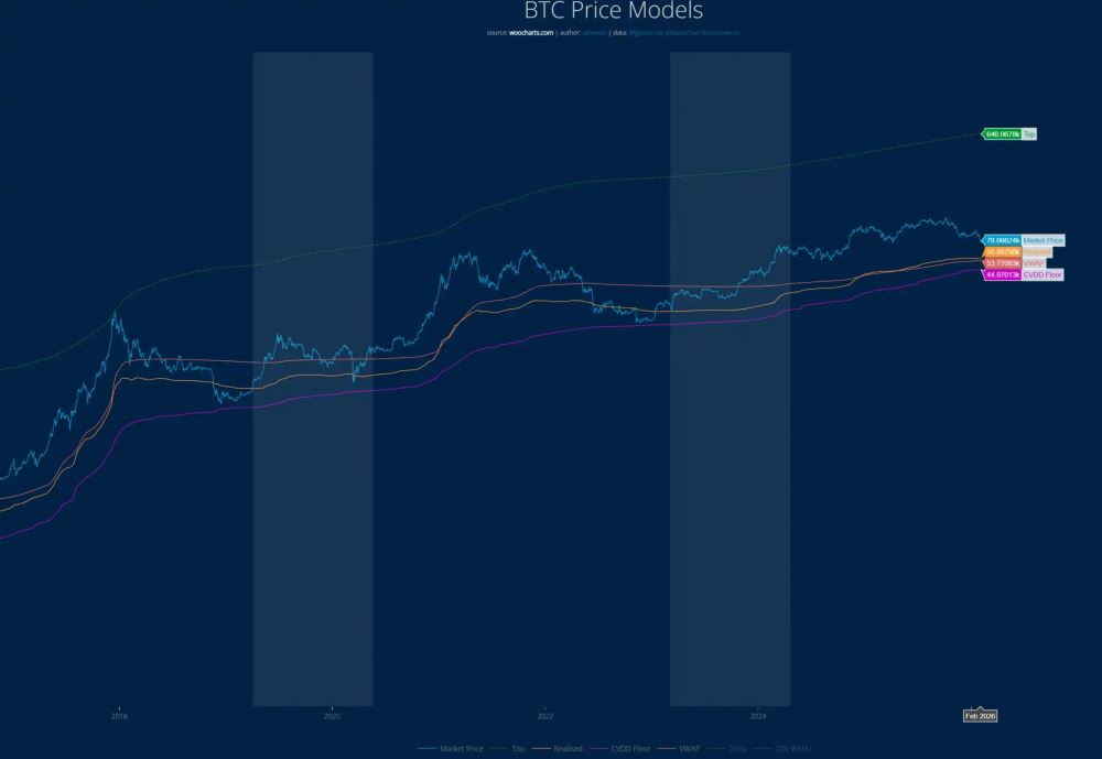 Willy Woo 指标显示 BTC 铁底为 4.5 万美元