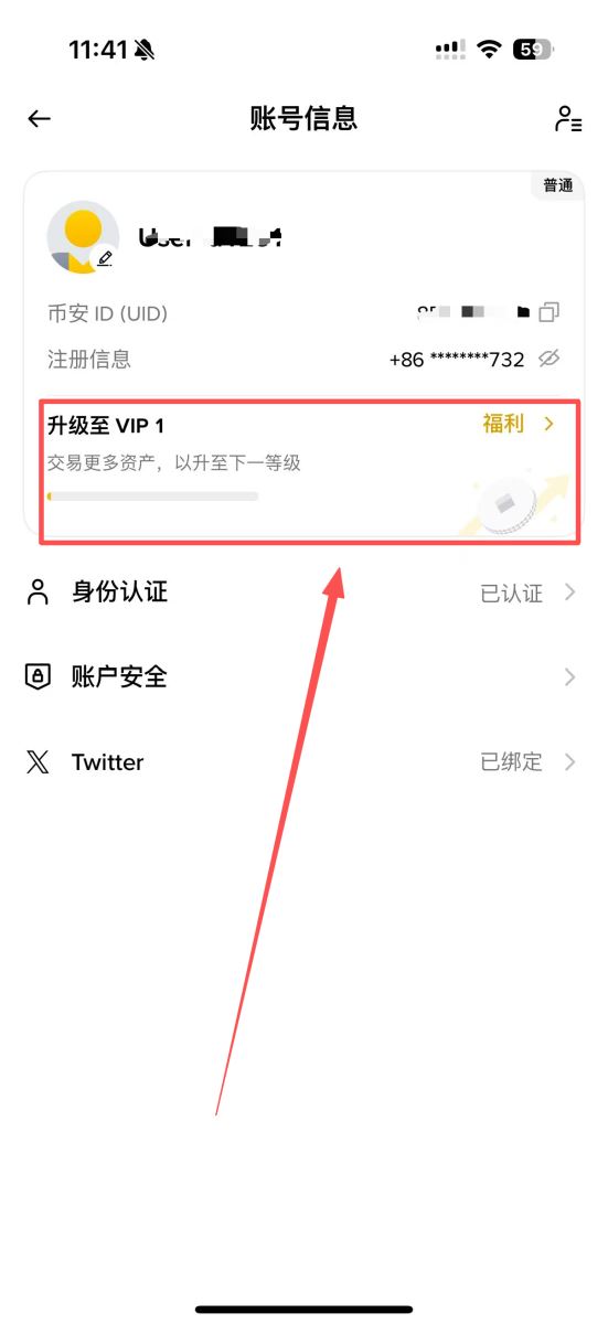 如何查看当前VIP等级？_图3
