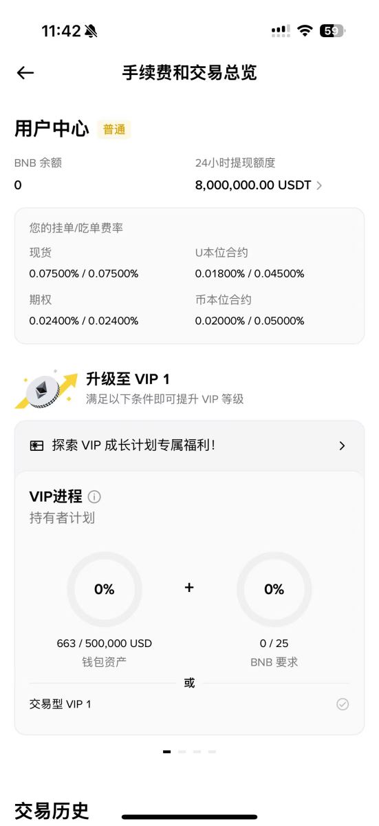 如何查看当前VIP等级？_图4