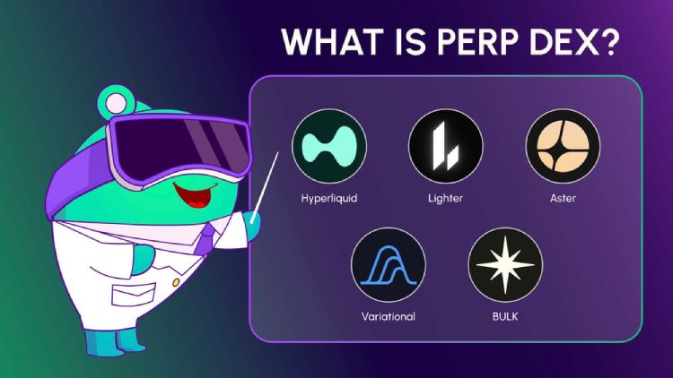 Perp DEX去中心化交易所介绍
