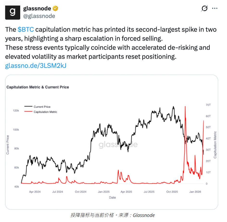 短期持有者“投降”加剧_图3