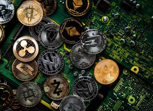 盘点熊市中表现强劲的最佳山寨币