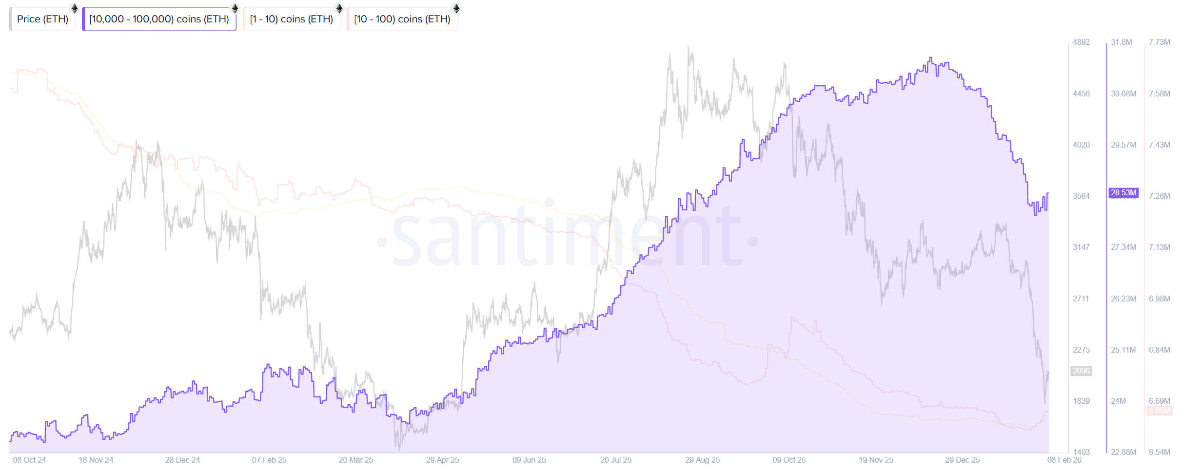 比特币暴跌6万后,接下来的大熊市该怎么面对？机会又在哪？