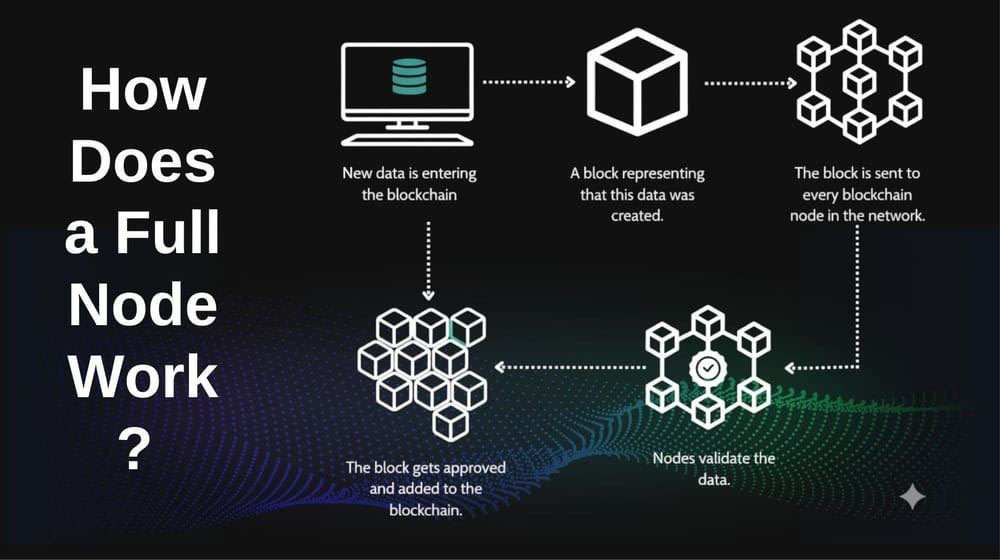 全节点的工作原理是什么？