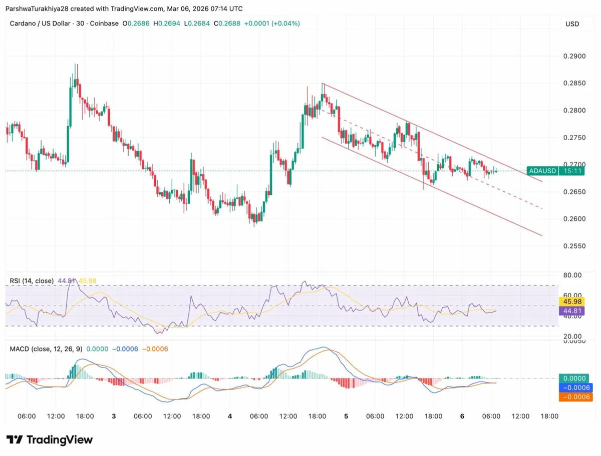 艾达币价格预测：随着ADA进入瑞士零售支付市场，多头测试通道阻力位 2026.3.6_图3