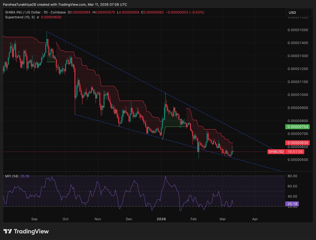 柴犬价格预测：烧钱率下降44%，柴犬价格守住趋势线支撑 2026.3.11