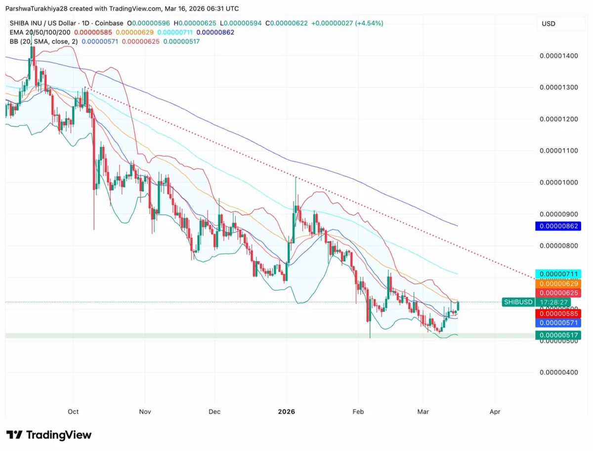 柴犬价格预测：烧钱率飙升1222%，柴犬价格上涨4.5%