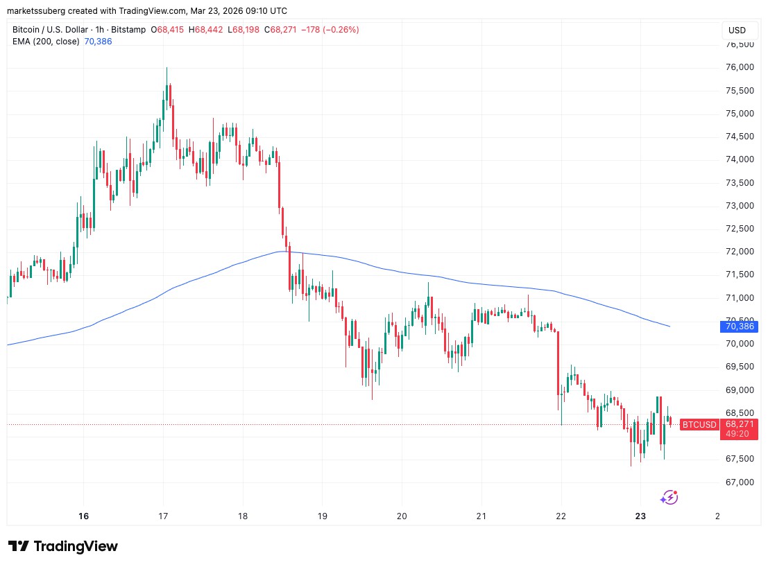 比特币破5万、金跌，本周五大点