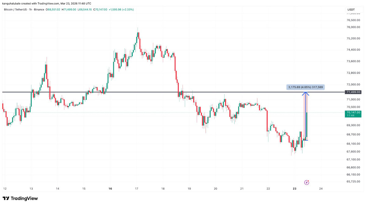 特朗普表态，比特币涨油价跌