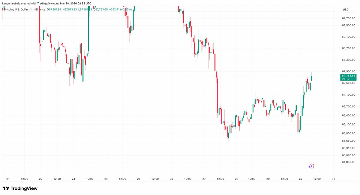 比特币潜在底部或4万 - 5万