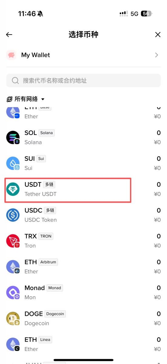 查看USDT钱包地址的流程_图3