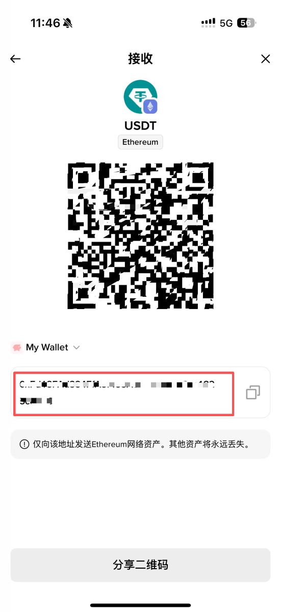 查看USDT钱包地址的流程_图5