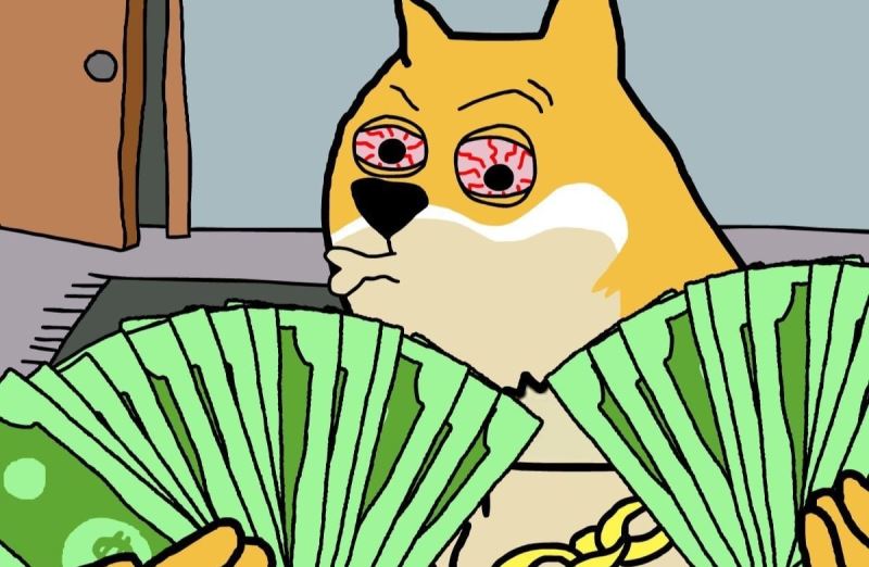 Pi Network与Maxi Doge的比较分析